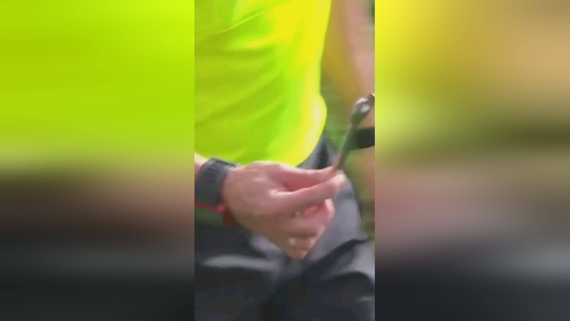 奧莫和巴塞